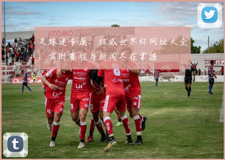足球迷专属：权威世界杯网址大全，实时赛程与新闻尽在掌握